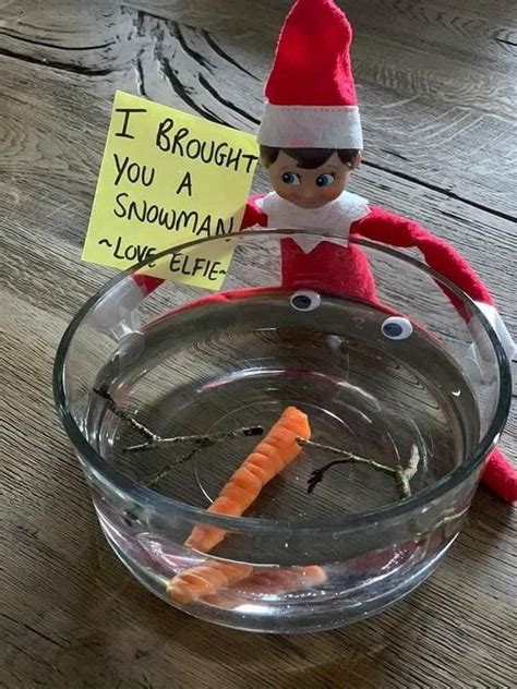 Embracing the Enchantment: Incorporating Elf on the Shelf Magic Pans into Your Holiday Decor